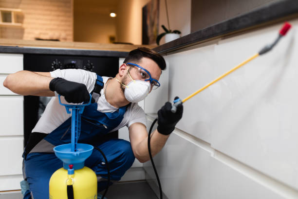 Best Pest Inspection Near Me  in Conneaut, OH