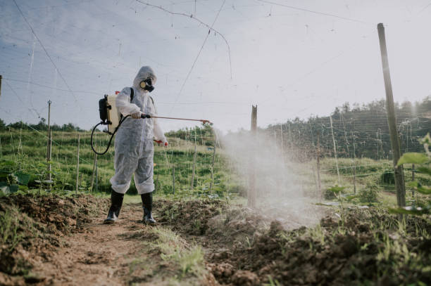 Best Local Pest Control Services  in Conneaut, OH