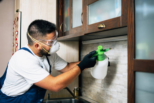 Best Best Pest Control Companies  in Conneaut, OH