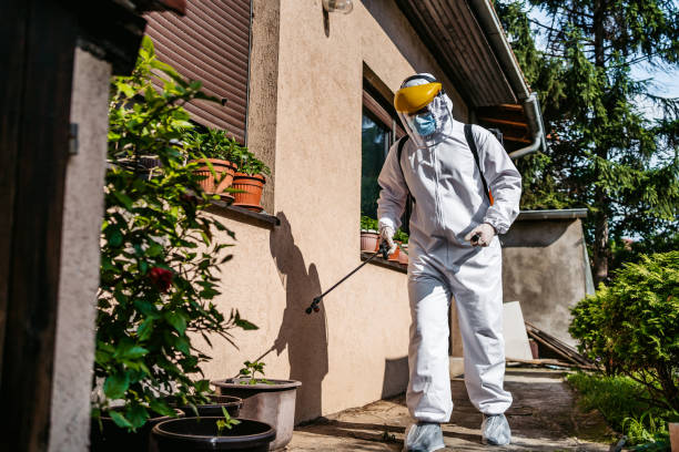 Flea Control Services in Conneaut, OH