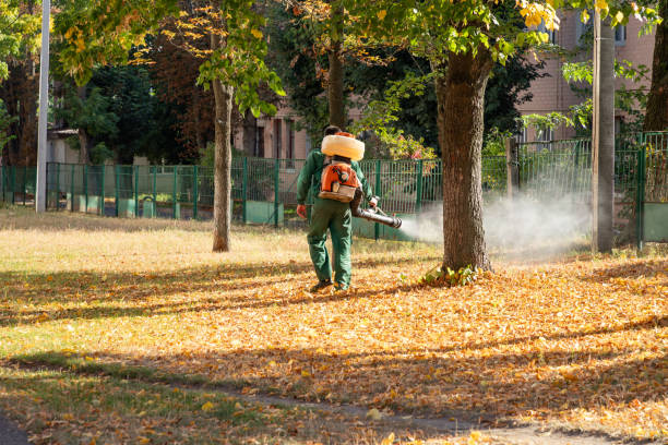 Best Exterminator Services  in Conneaut, OH