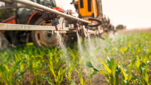 Best Insect Control  in Conneaut, OH